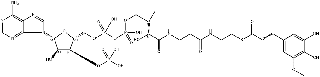 C12203 Structure