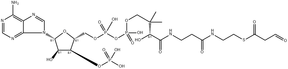 Malonyl-CoA semialdehyde,6244-93-5,结构式