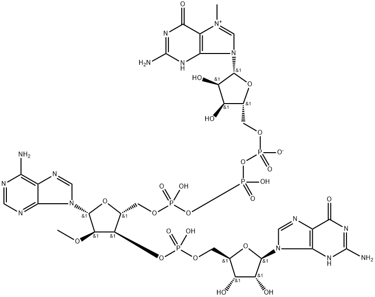 Guanosine, 7-methylguanylyloxyphosphinicooxyphosphinico-(5'→5')-2'-O-methyladenylyl-(3'→5')-, inner salt (9CI) Struktur