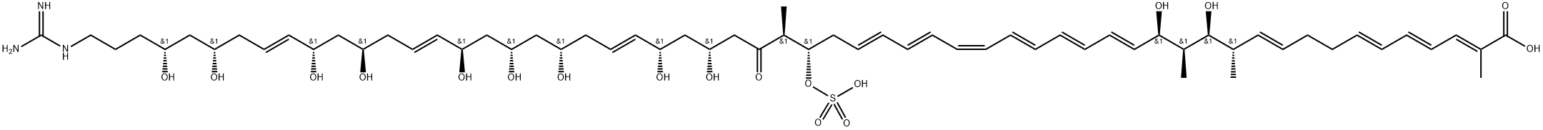 2,4,6,10,16,18,20,22,24,26,36,44,50-Octapentacontatridecaenoic acid, 58-[(aminoiminomethyl)amino]-13,15,33,35,39,41,43,47,49,53,55-undecahydroxy-2,12,14,30-tetramethyl-31-oxo-29-(sulfooxy)-, (2E,4E,6E,10E,12S,13S,14S,15R,16E,18E,20E,22Z,24E,26E,29S,30S,33R,35S,36E,39S,41S,43R,44E,47R,49S,50E,53S,55R)- Struktur