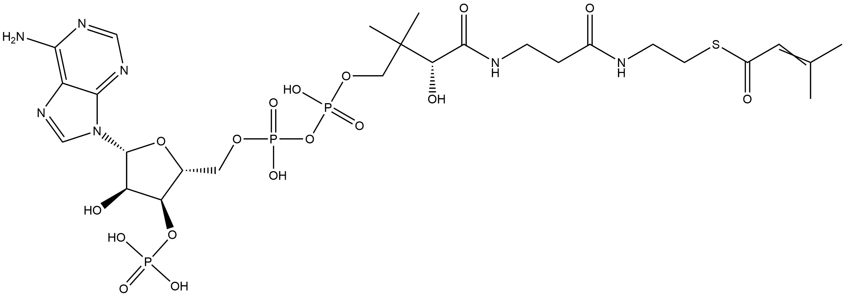 3-メチル-2-ブテノイルCoA 化学構造式