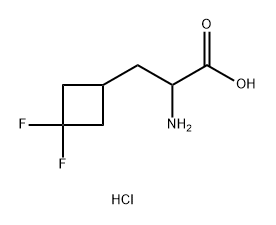 2-amino-3-(3,3-difluorocyclobutyl)propanoic acid
hydrochloride Structure