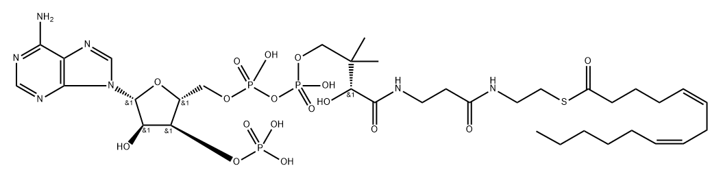 5-cis-8-cis-Tetradecadienoyl-CoA 化学構造式