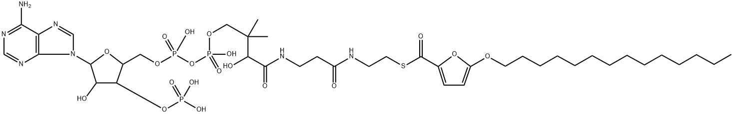 5-(tetradecyloxy)-2-furoyl-coenzyme A 化学構造式