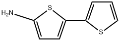 72133-89-2 2,2′-二噻吩]-5-胺