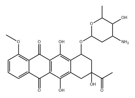 daunorubicin semiquinone radicals 结构式