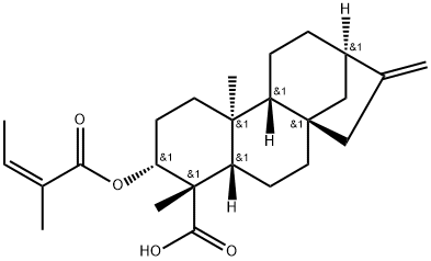 ent-3β-Angeloyloxykaur-16-en-19-oic acid Structure
