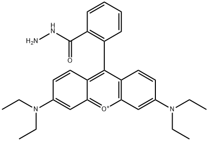 Xanthylium, 3,6-bis(diethylamino)-9-[2-(hydrazinylcarbonyl)phenyl]- Structure