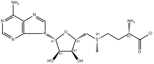 Adenosine, 5'-[(S)-[(3S)-3-amino-3-carboxypropyl]methylsulfonio]-5'-deoxy-, inner salt 结构式
