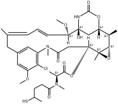 DM3 Structure