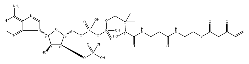 3-keto-4-pentenoyl-coenzyme A|