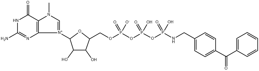 gamma-(4-(benzoylphenyl)methylamido)-7-methylguanosine-5'-triphosphate|