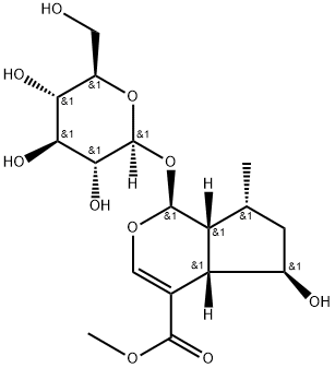 penstemonoside Struktur