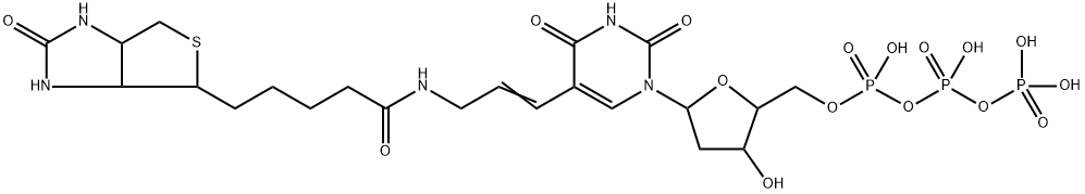 5-(N-(N-biotinyl-epsilon-aminocaproyl)-3-aminoallyl)-2'-deoxuridine 5'-triphosphate,81522-11-4,结构式