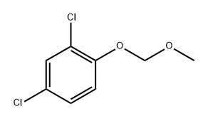 2,4-dichloro-1-(methoxymethoxy)benzene Structure