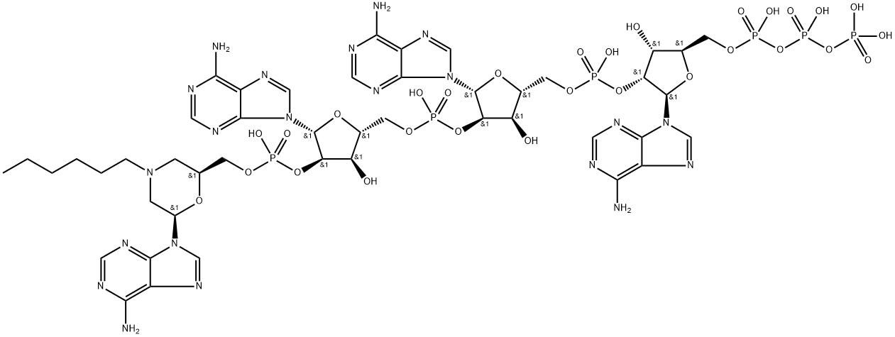 N-hexylmorpholine-2',5'-oligoadenylate 化学構造式