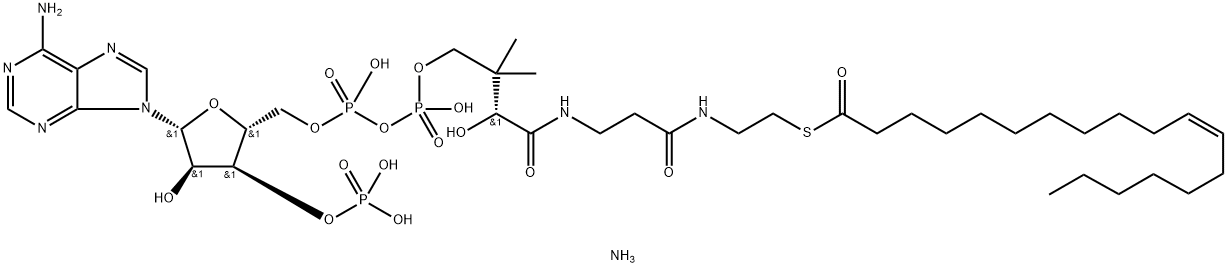 Coenzyme A, S-(11Z)-11-octadecenoate, triammonium salt (9CI)|11Z-十八碳烯酰 辅酶 A (铵盐)