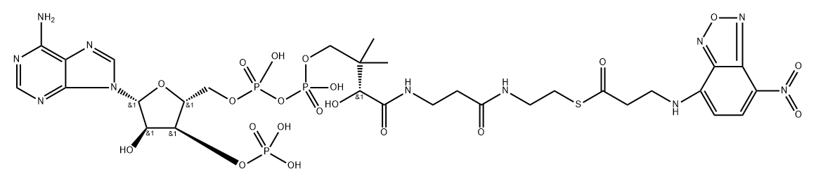 beta-(N-(7-nitro-2,1,3-benzoxadiazol-4-yl))alanyl-coenzyme A,86848-57-9,结构式