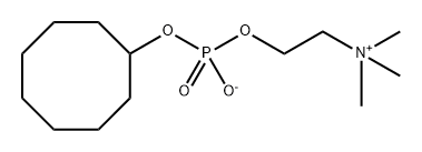 C-OCTAFOS Structure