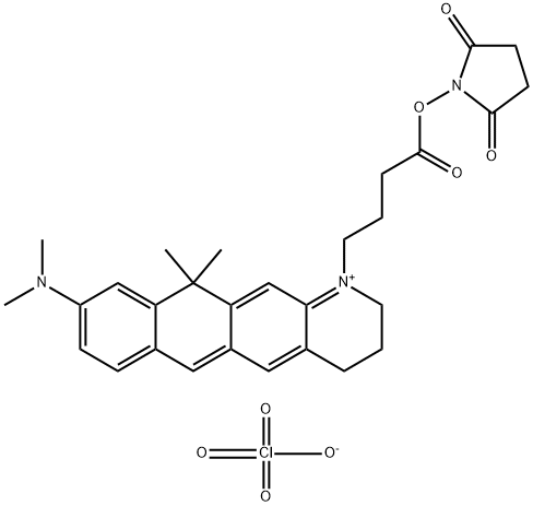 9-(ジメチルアミノ)-1-[4-[(2,5-ジオキソ-1-ピロリジニル)オキシ]-4-オキソブチル]-2,3,4,11-テトラヒドロ-11,11-ジメチルナフト[2,3-g]キノリン-1-イウム・過塩素酸イオン 化学構造式