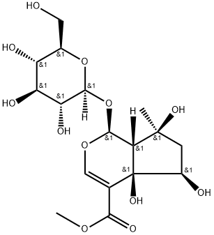 6beta-Hydroxyipolamiide Struktur