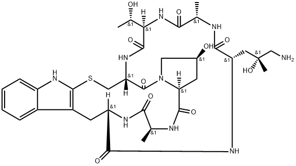 ((R)-4-Hydroxy-4-methyl-Orn)-Phalloidin Struktur