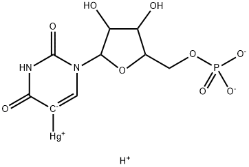 poly-5-mercuriuridylic acid 结构式