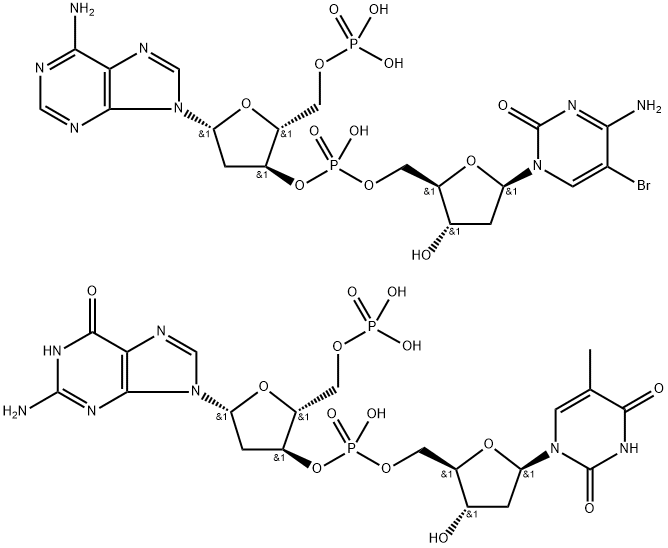 poly(d(A-Br(5)C).d(G-T)) 结构式