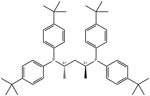 911415-22-0 1,1'-[((1S,3S)-1,3-二甲基-1,3-丙二基]双[1,1-双[4-(1,1-二甲基乙基)苯基]-膦