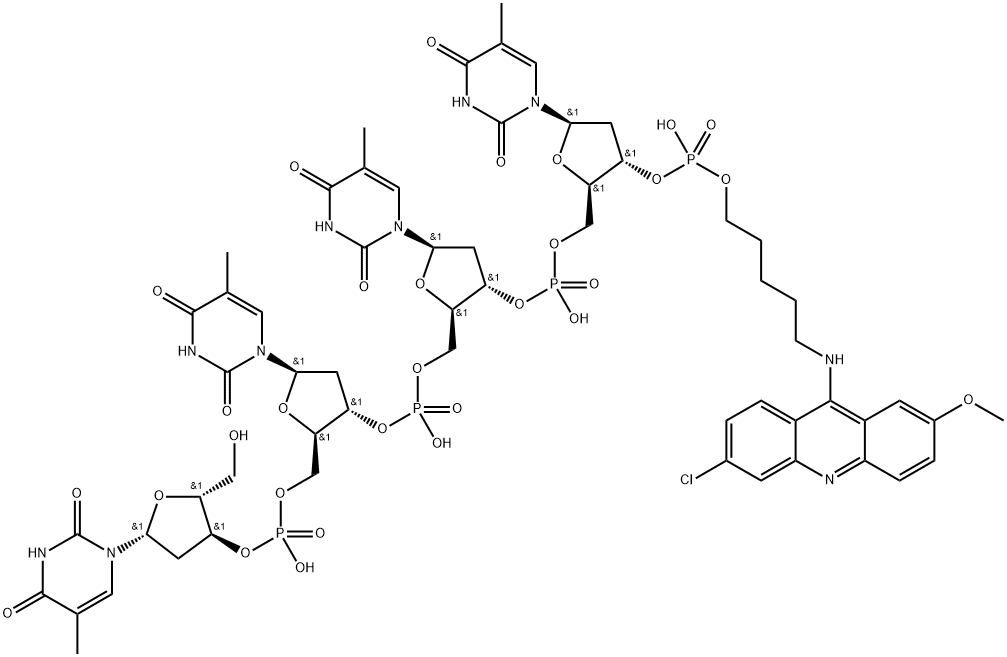 2-methoxy-6-chloro-9-aminoacridinyl-N-pentamethylene tetrathymidylic acid Struktur