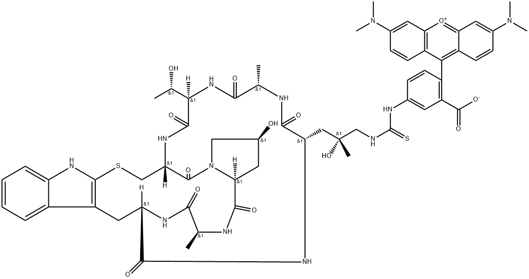 罗丹明标记鬼笔环肽, 915013-10-4, 结构式