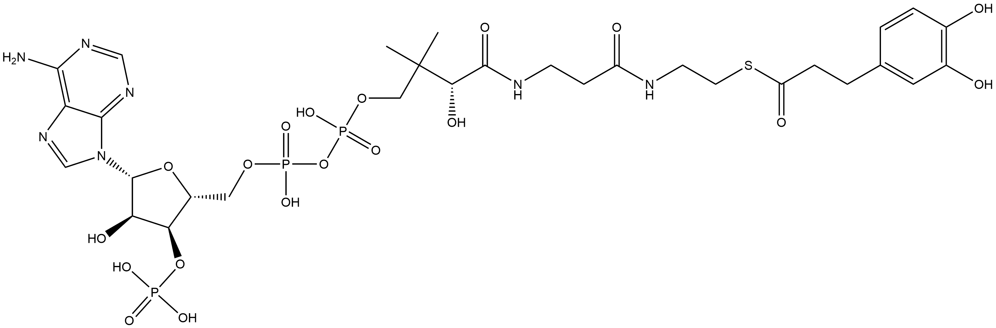 Coenzyme A, S-(3,4-dihydroxybenzenepropanoate) Structure