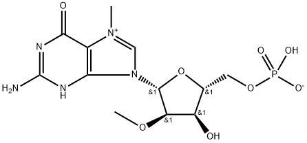 7-甲基-3'-O-甲基-5'-鸟苷单磷酸 结构式