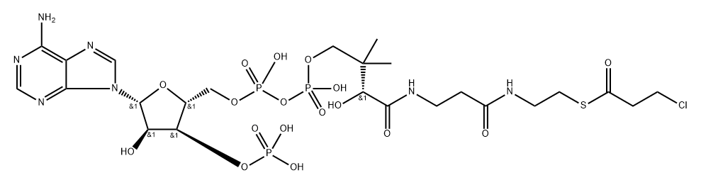 3-chloropropionyl-coenzyme A Structure