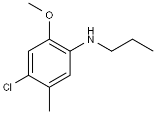 4-Chloro-2-methoxy-5-methyl-N-propylbenzenamine|