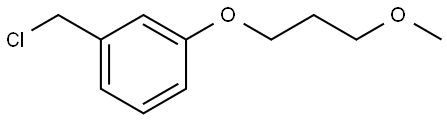 1-(chloromethyl)-3-(3-methoxypropoxy)benzene Structure