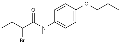 2-Bromo-N-(4-propoxyphenyl)butanamide Struktur