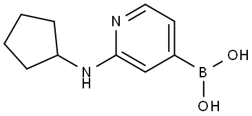 B-[2-(Cyclopentylamino)-4-pyridinyl]boronic acid Struktur