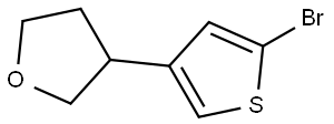 2-Bromo-4-(3-tetrahydrofuranyl)thiophene,1353854-99-5,结构式