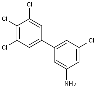 3',4',5,5'-Tetrachloro[1,1'-biphenyl]-3-amine Structure