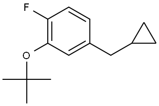 1369837-46-6 2-(tert-butoxy)-4-(cyclopropylmethyl)-1-fluorobenzene