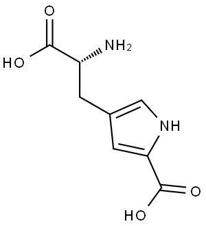 4-[(2R)-2-amino-2-carboxyethyl]-1H-pyrrole-2-carboxylic acid Structure