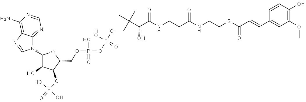 Coenzyme A, S-[(2E)-3-(4-hydroxy-3-methoxyphenyl)-2-propenoate] Structure