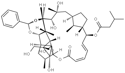 Trigothysoid N