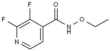 N-Ethoxy-2,3-difluoro-4-pyridinecarboxamide 结构式