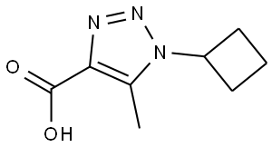 1H-1,2,3-Triazole-4-carboxylic acid, 1-cyclobutyl-5-methyl- Structure