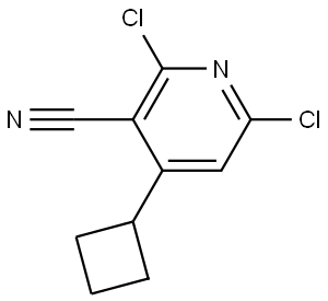1824666-51-4 2,6-dichloro-4-cyclobutylnicotinonitrile