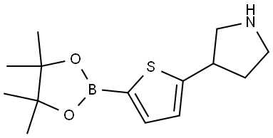 5-(Pyrrolidin-3-yl)thiophene-2-boronic acid pinacol ester|