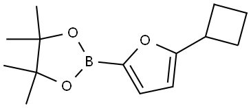 5-(Cyclobutyl)furan-2-boronic acid pinacol ester Structure
