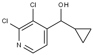 cyclopropyl(2,3-dichloropyridin-4-yl)methanol Struktur
